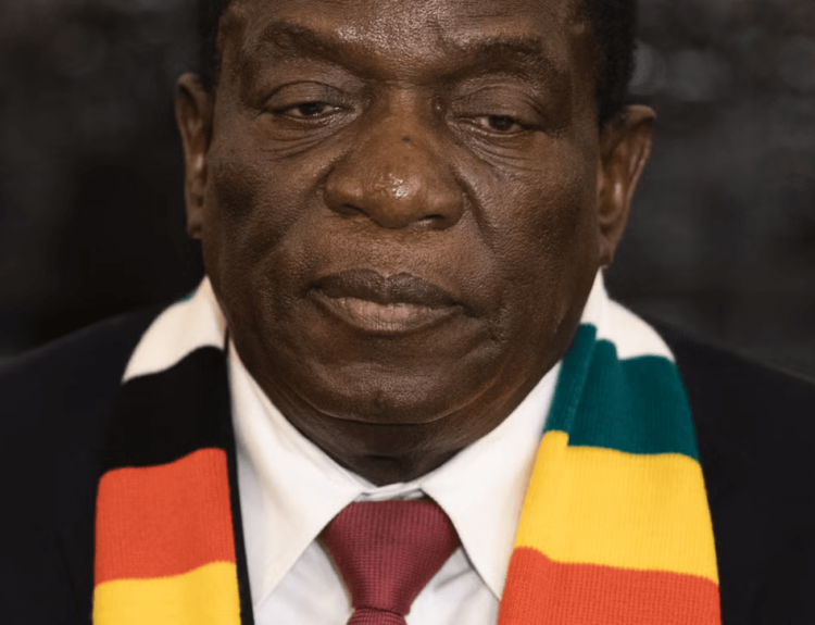 Mnangagwa nomme Winston Chitando ministre des Mines