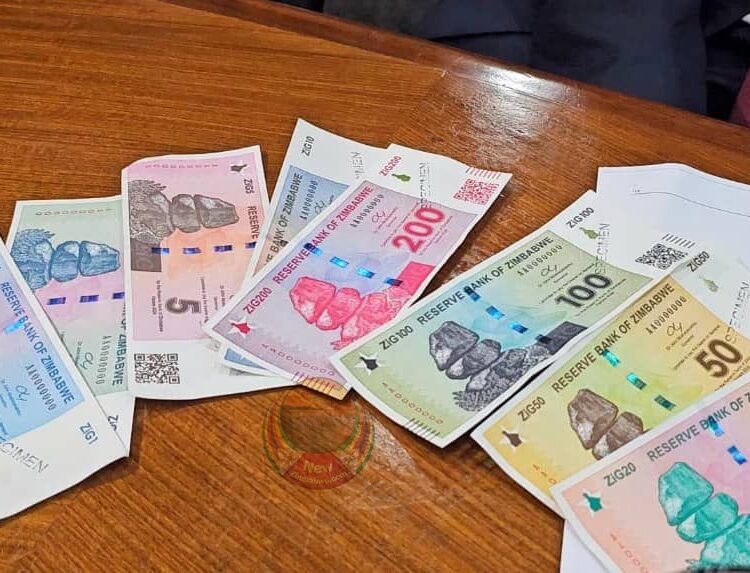 Le Zimbabwe inaugure une nouvelle ère monétaire avec ZiG